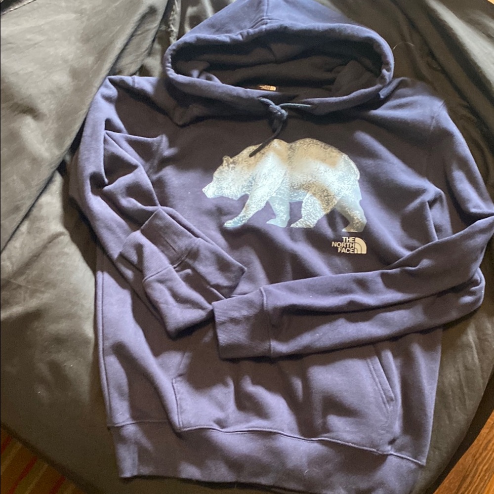 The North Face Blue Sweater with Arctic Graphic